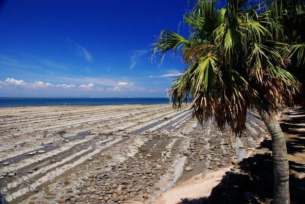 【福岡県内発】 充実の南九州3日間3